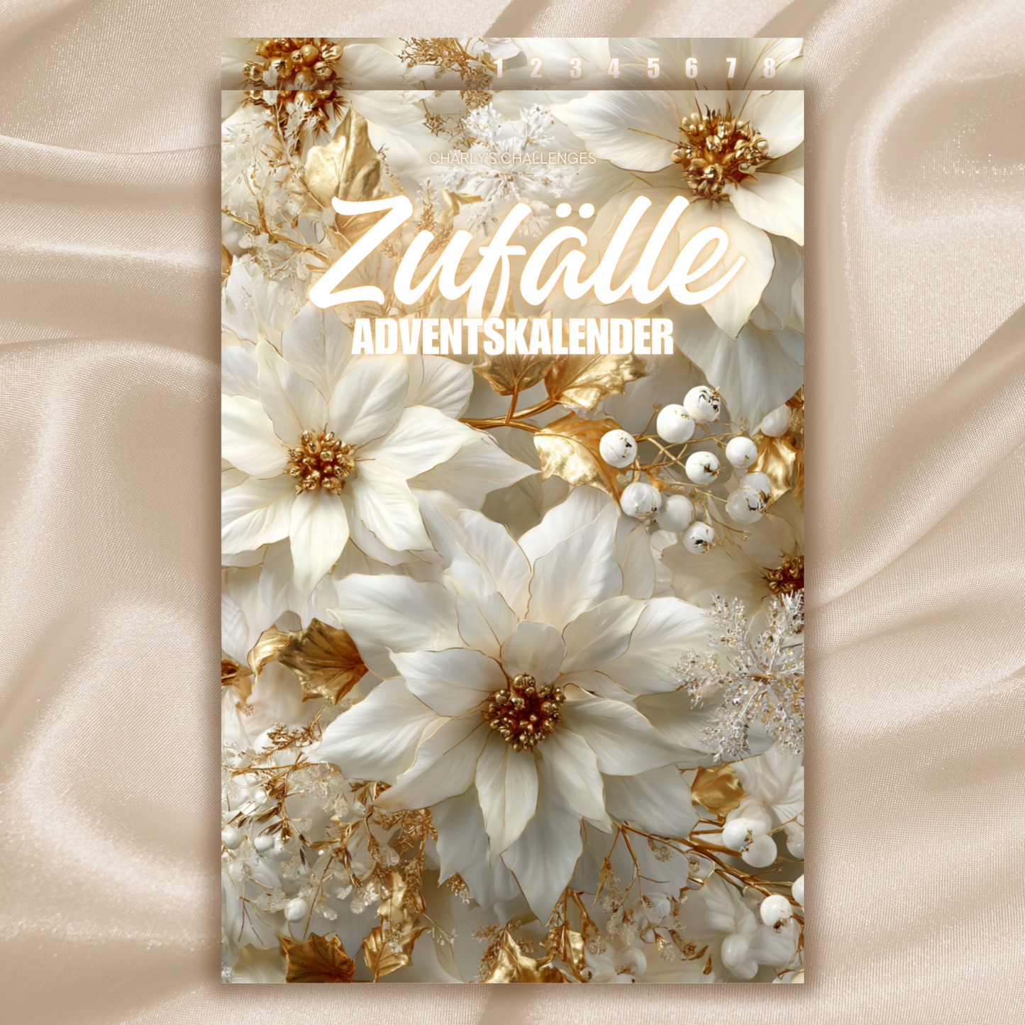 Adventskalender-Register (24-teilig)